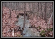More of Tract 13 - Number 12 Hollow