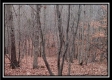 Tract 13 - Number 12 Hollow property photo