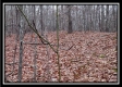 Tract 13 - Number 12 Hollow property photo