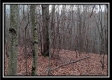 More of Tract 13 - Number 12 Hollow