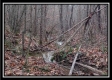 Tract 13 - Number 12 Hollow property photo