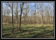 Tract 8 - The Woods at Sunfish Creek property photo