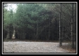 Tract 8 - The Woods at Sunfish Creek property photo