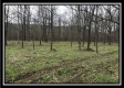 Tract 8 - The Woods at Sunfish Creek property photo