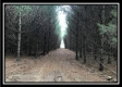 Tract 8 - The Woods at Sunfish Creek property photo