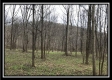 Tract 8 - The Woods at Sunfish Creek property photo