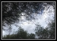 Tract 8 - The Woods at Sunfish Creek property photo