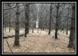 Tract 8 - The Woods at Sunfish Creek property photo