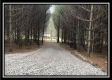 Tract 8 - The Woods at Sunfish Creek property photo