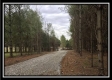 Tract 8 - The Woods at Sunfish Creek property photo