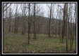 Tract 8 - The Woods at Sunfish Creek property photo