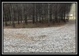 Tract 8 - The Woods at Sunfish Creek property photo