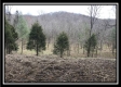 Tract 8 - The Woods at Sunfish Creek property photo