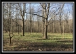 More of Tract 8 - The Woods at Sunfish Creek