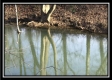 Tract 8 - The Woods at Sunfish Creek property photo