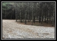 More of Tract 8 - The Woods at Sunfish Creek