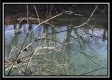 Tract 8 - The Woods at Sunfish Creek property photo
