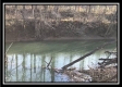 Tract 8 - The Woods at Sunfish Creek property photo