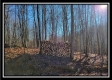 Tract 9 - Number 12 Hollow property photo