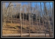 Tract 9 - Number 12 Hollow property photo