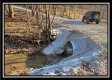 Tract 9 - Number 12 Hollow property photo