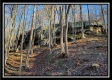 Tract 9 - Number 12 Hollow property photo