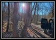 Tract 9 - Number 12 Hollow property photo