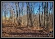 Tract 9 - Number 12 Hollow property photo