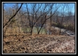 Tract 9 - Number 12 Hollow property photo