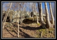 Tract 9 - Number 12 Hollow property photo