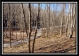 Tract 9 - Number 12 Hollow property photo
