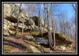 Tract 9 - Number 12 Hollow property photo