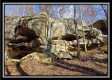 Tract 9 - Number 12 Hollow property photo