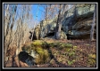More of Tract 9 - Number 12 Hollow