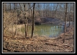 More of Tract 9 - Number 12 Hollow