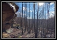 Tract 9 - Number 12 Hollow property photo