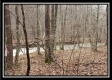 The Cabin at Camp Creek Retreat property photo