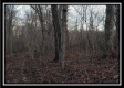 The Cabin at Camp Creek Retreat property photo