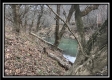 Tract 7 - 9.9 Acres on Sunfish Creek property photo