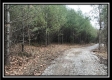 Tract 7 - 9.9 Acres on Sunfish Creek property photo
