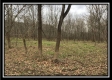 Tract 7 - 9.9 Acres on Sunfish Creek property photo