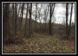 Tract 7 - 9.9 Acres on Sunfish Creek property photo