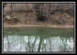 Tract 7 - 9.9 Acres on Sunfish Creek property photo