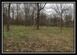 Tract 7 - 9.9 Acres on Sunfish Creek property photo