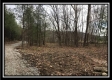 Tract 7 - 9.9 Acres on Sunfish Creek property photo