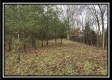 Tract 7 - 9.9 Acres on Sunfish Creek property photo