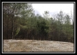 More of Tract 7 - 9.9 Acres on Sunfish Creek