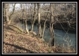 More of Tract 7 - 9.9 Acres on Sunfish Creek