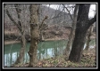 Tract 7 - 9.9 Acres on Sunfish Creek property photo