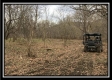 Tract 7 - 9.9 Acres on Sunfish Creek property photo